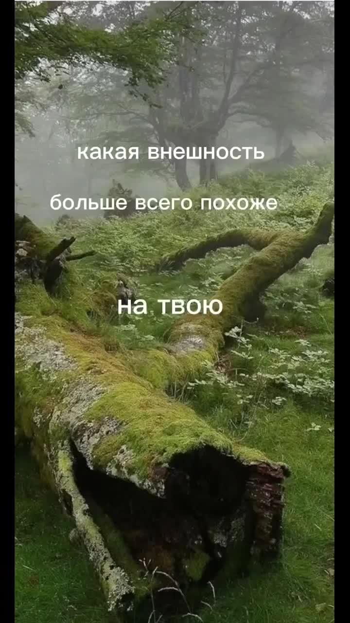 какая внешность больше всего похоже на твою #внешности #накогопохож #