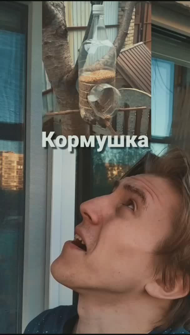 Кормушка для птиц