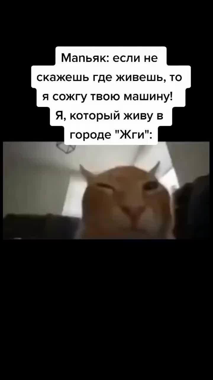 #mem #meme #memes #мем #мемы #mems #memee