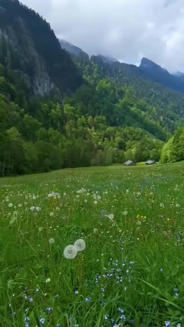 Поставь звук на всю громкость 🎶