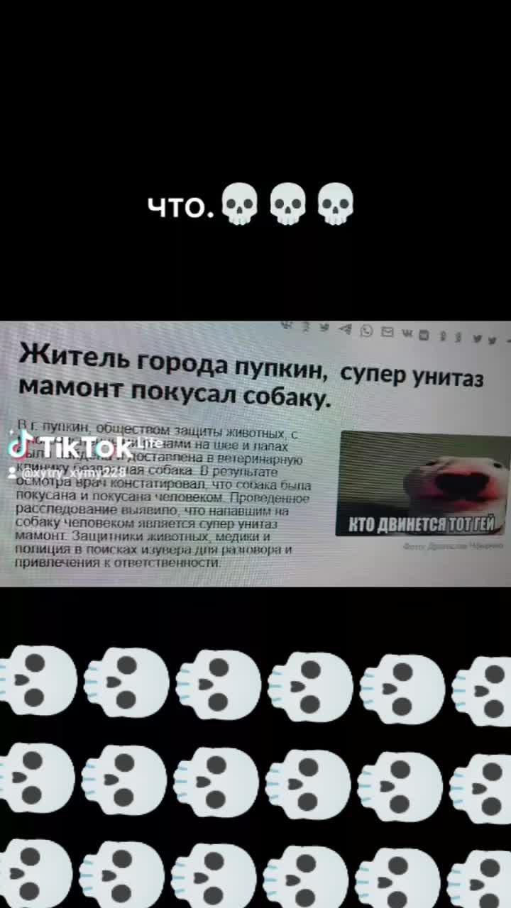 #каштанка #💀