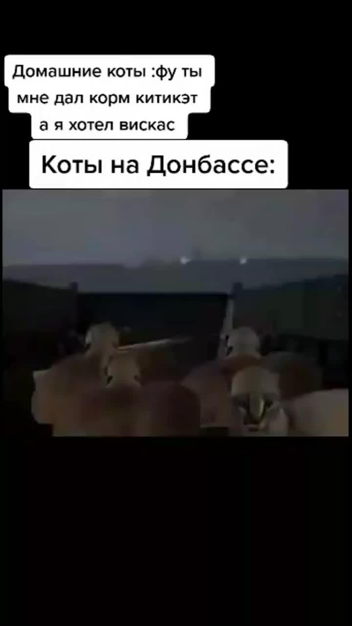 ВСТАВАЙ ДАМБАС.