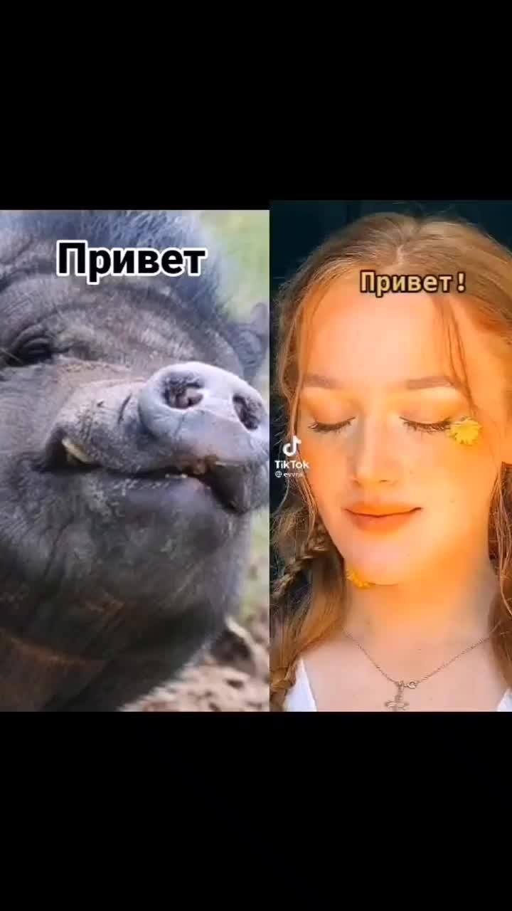 ЗА ДАМБАС