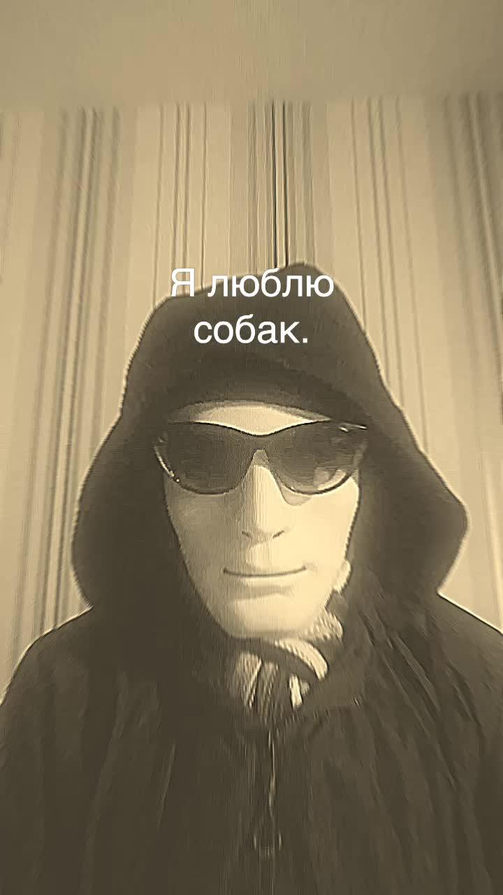 #собаки #музыка #шарик