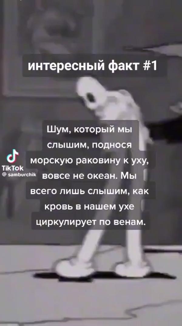 Страшный факт 4 часть