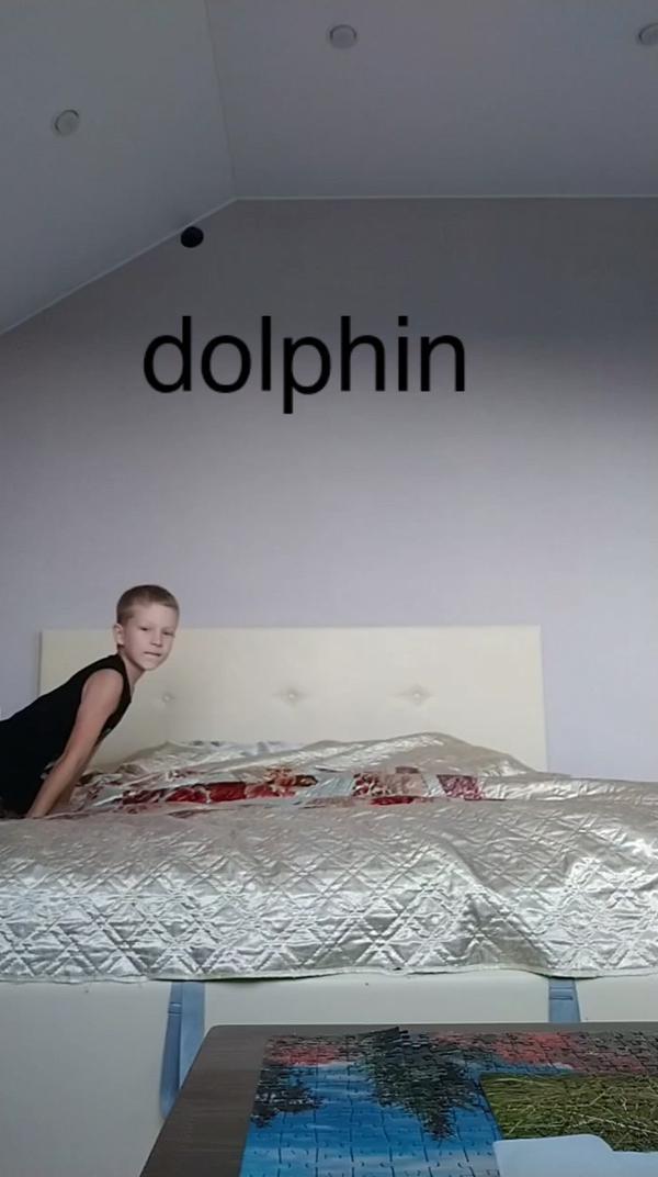 #dolphin dolphin 🐬