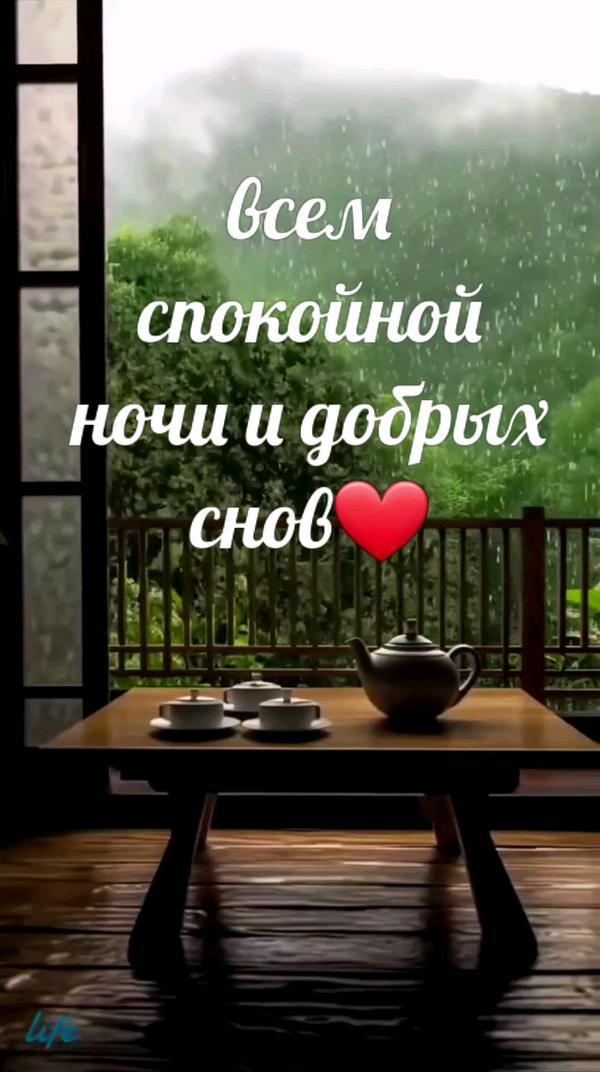 спокойной ночи  и добрых снов❤
#яппи #пожелания_спокойной_ночи