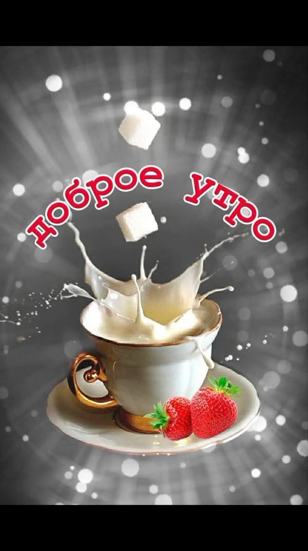 Доброе утро
#доброе
#утро