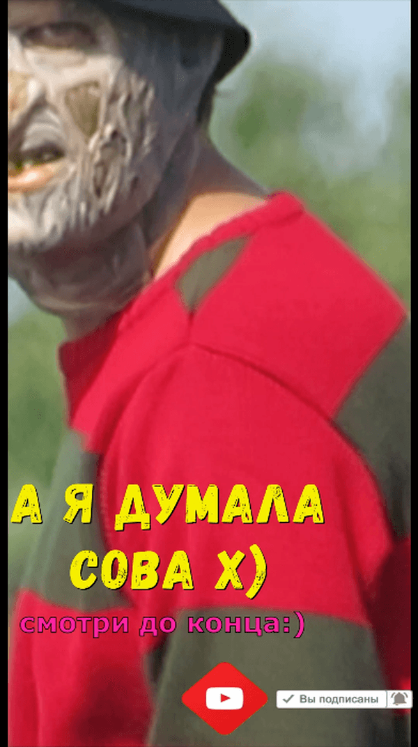 а я думала сова #FreddyKrueger version