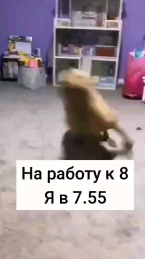 на работу к 8 я в 7:55