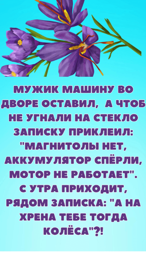 Прикольные анекдоты!  #анекдоты #юмор #смех #прикольно