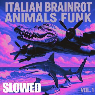 TRALALERO TRALALA BRAZILIAN FUNK (SLOWED)