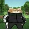 Звук
