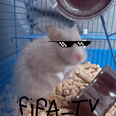Звук