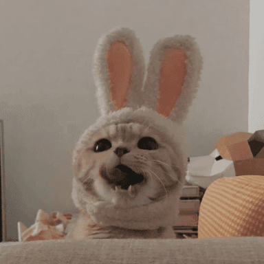 Звук