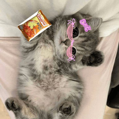 Звук