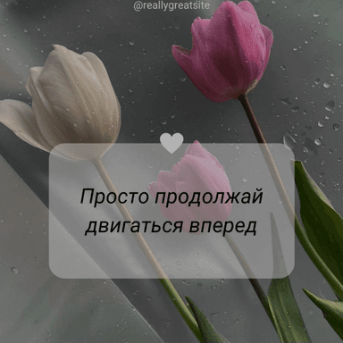 Звук