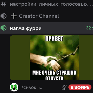 Звук