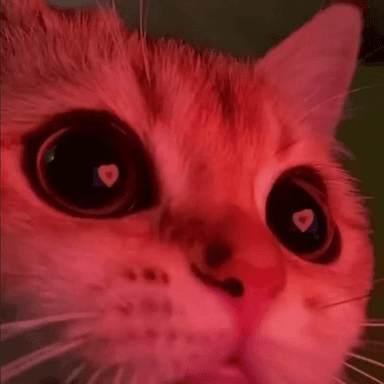 Звук