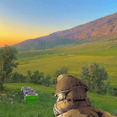 Звук