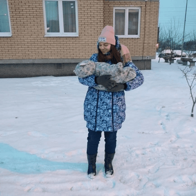 Звук