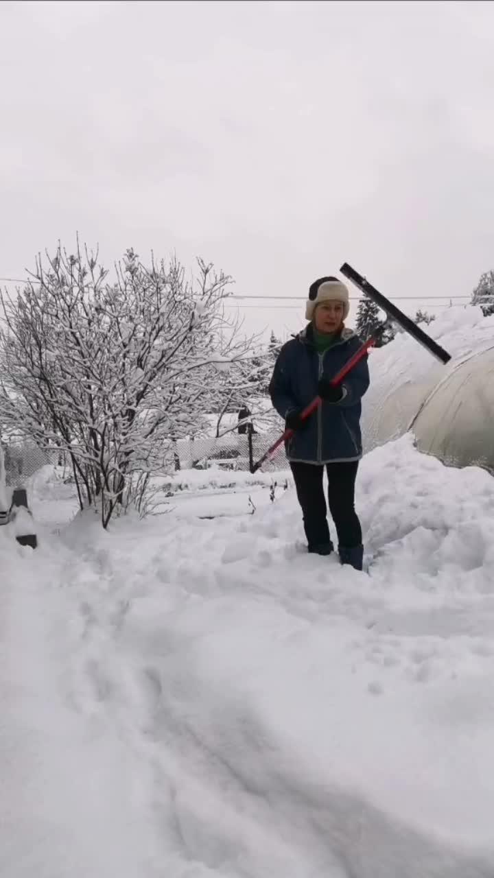 лайки: 61.видео в от пользователя larisa kurkina (@lavlku): «эконом-вариант скребка для очистки снега с теплицы и крыши👌🏻#чумачечаядачница #дачныйлайфхак #теплицазимой #простыесоветы».оригинальный звук - larisa kurkina.