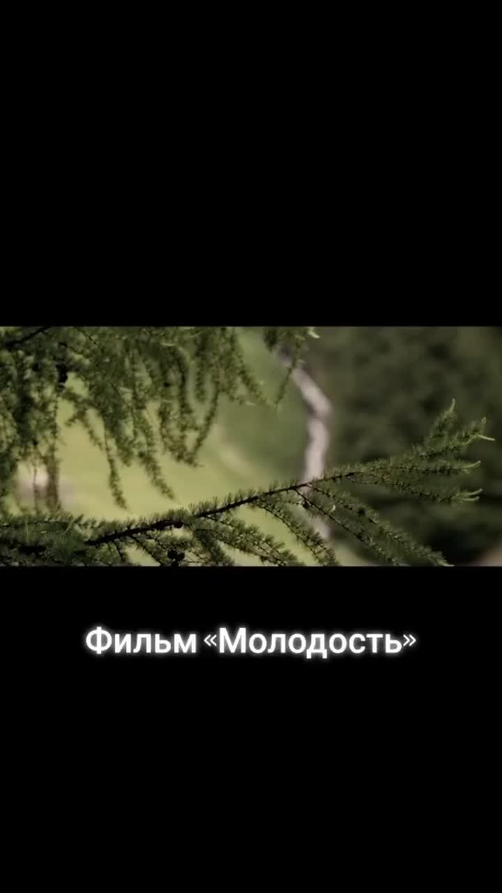 лайки: 31.видео от пользователя tvigle (@tvigle): ««молодость» – великолепный драматический фильм паоло соррентино 🌿 (ссылка шапке профиля) #молодость #швейцария #дирижер #фильм».оригинальный - tvigle.