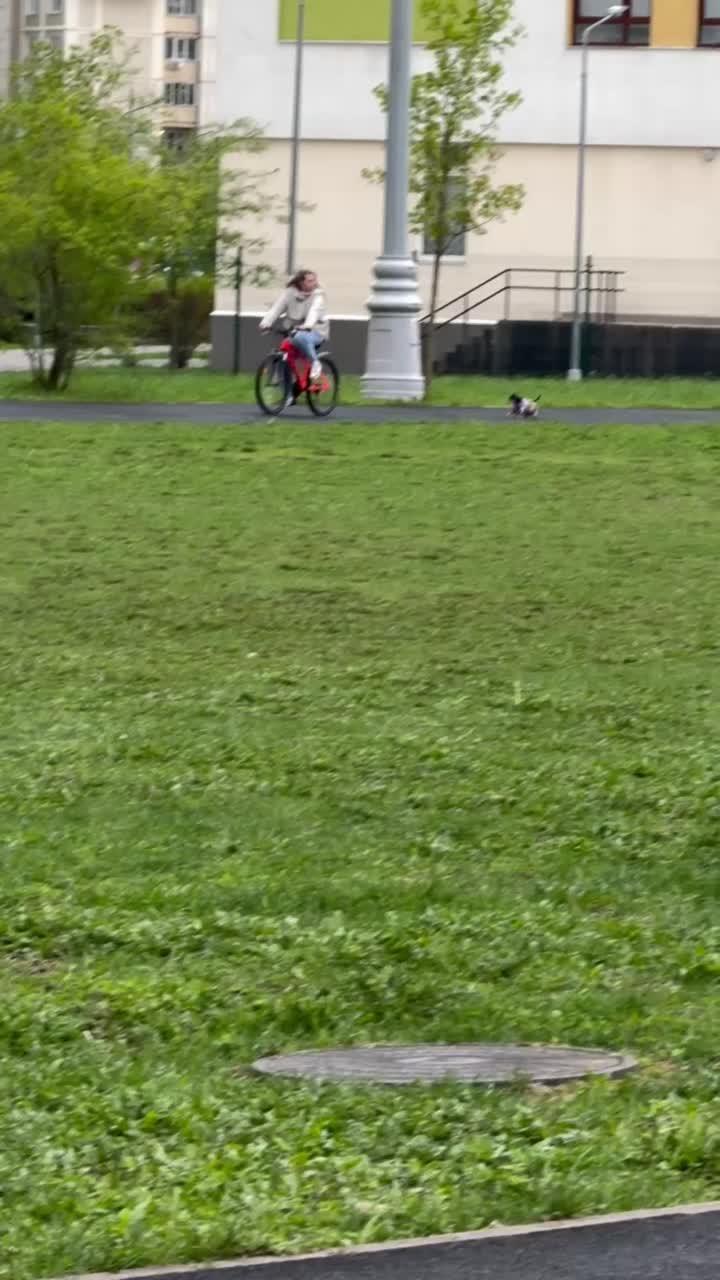 Пробежал два круга 😂