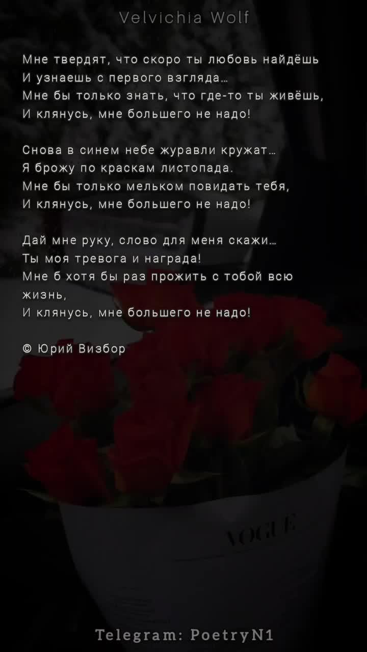 ‎@velvichia. - мой канал озвучки "вельвичия читает" t.me/poetryn1 "мир поэта" #стихи #видеостихи #стихотворение #лирика #стихиожизни #стихиолюбви #поэт #автор #современнаяпоэзия #вельвичиявольф #poem #poetry