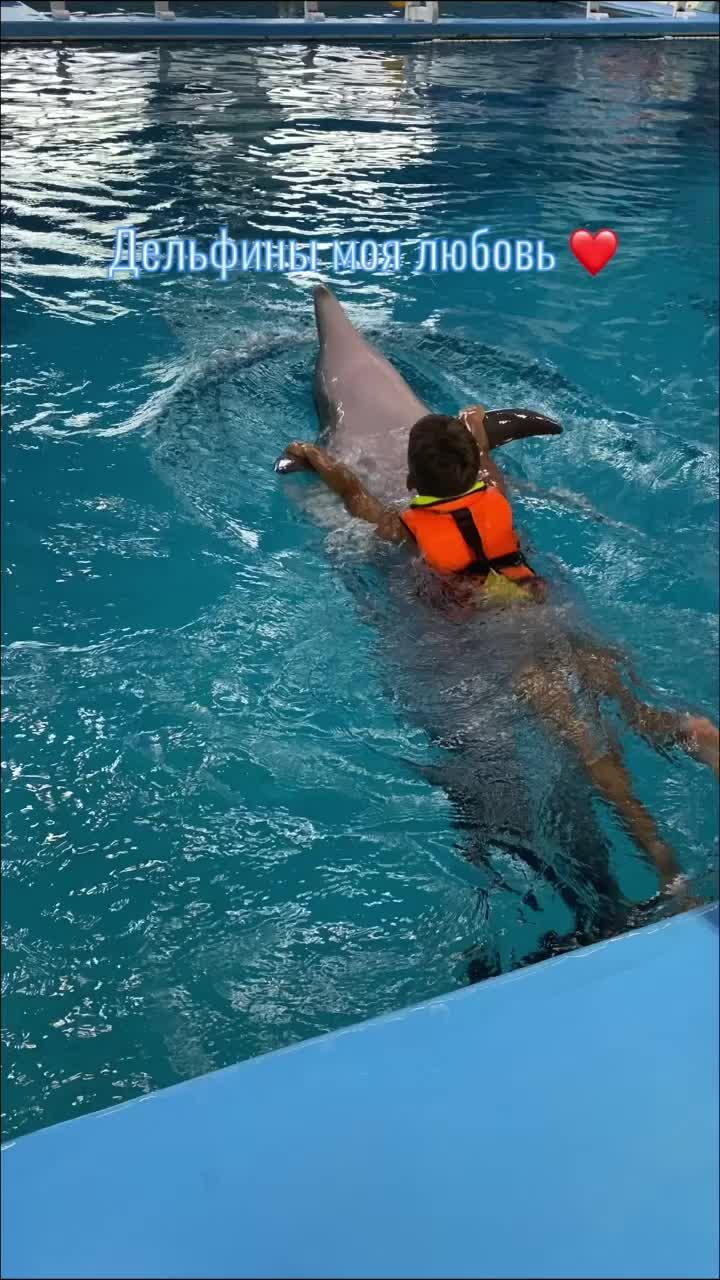 Любовь к дельфинам ❤️#дельфины