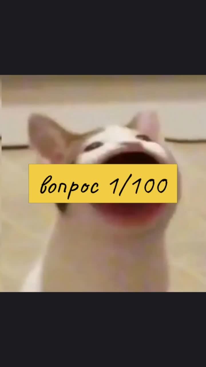 Новая тема подъехала