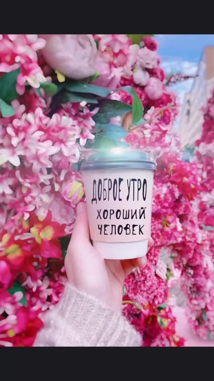 Лето лето где-то