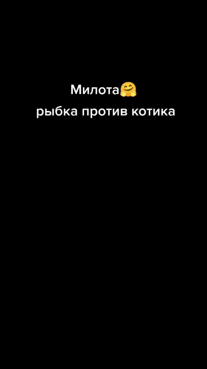 лайки: 460.7k.комментарии: 2498.видео в от пользователя kot.kch (@kot.kch): «fish vs cat "xiao li and hupo"#chineseanime #китайскоеаниме #donhua #смешныемоменты #анимеприколы #юмор #мило #fyp #china #рек#милоеаниме».оригинальный звук - kot.kch.