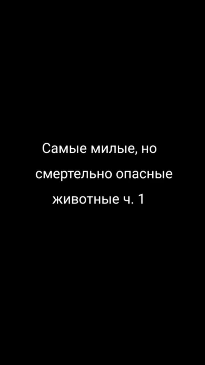 лайки: 527.видео от пользователя top_content0404 (@top_content0404): «#самыемилыеносмертельноопасныеживотные #trend #wow #like #реки».оригинальный - top_content0404.