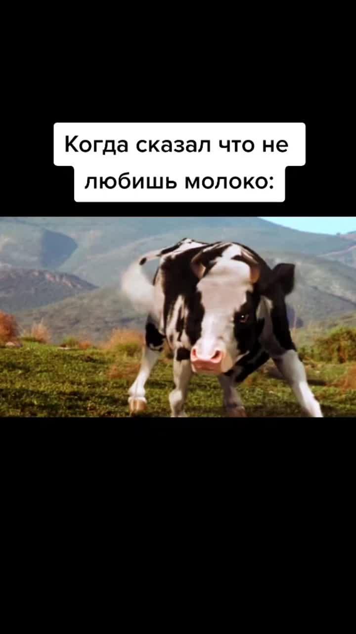 лайки: 357k.комментарии: 2870.видео от пользователя олежэ (@olezhe): «когда забыл подоить корову #олежэ #корова #владбумагаа4».оригинальный - олежэ.