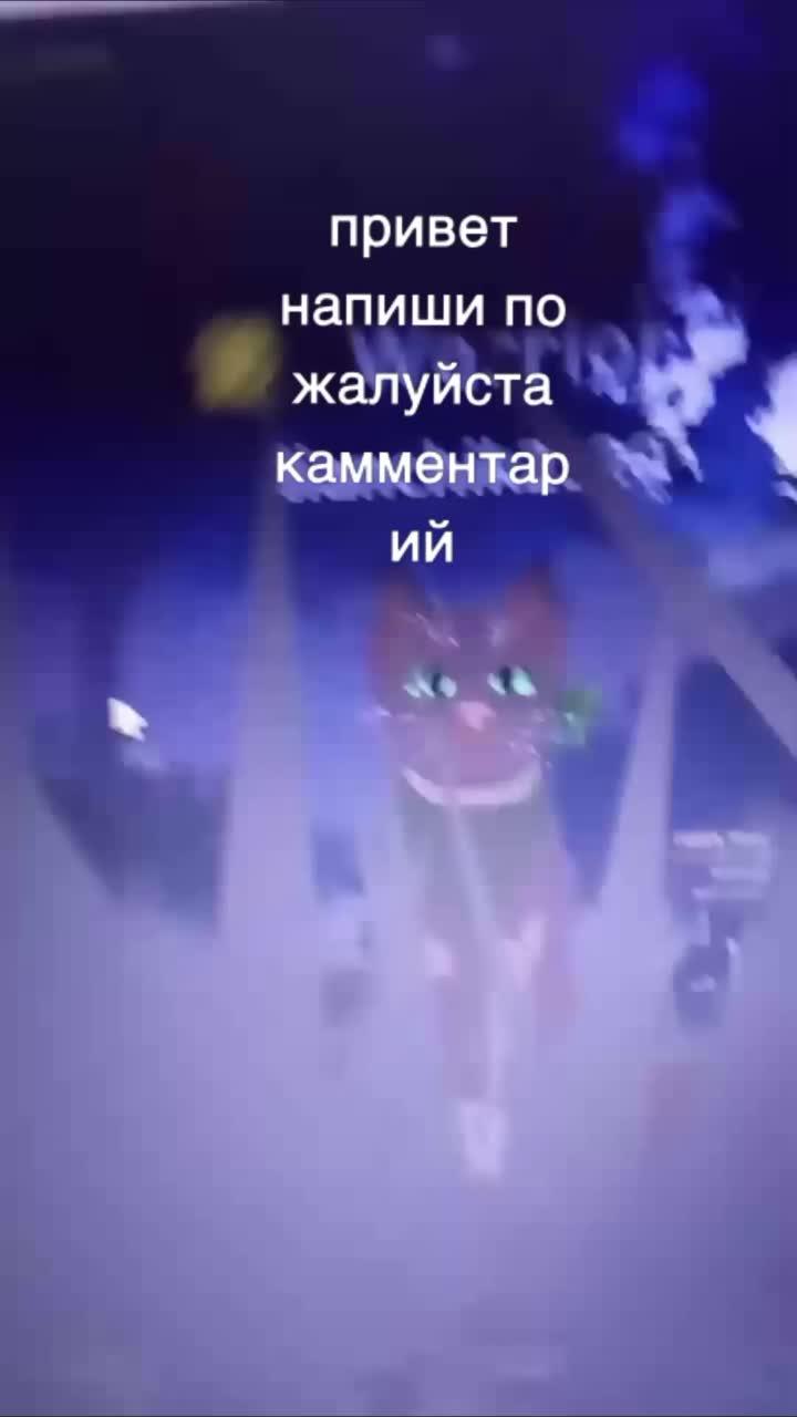 цель 100 подпишеков
