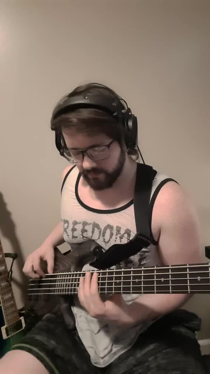 bass cover #limpbizkit #basscover #shorts *for fair use only. all rights to limp bizkit