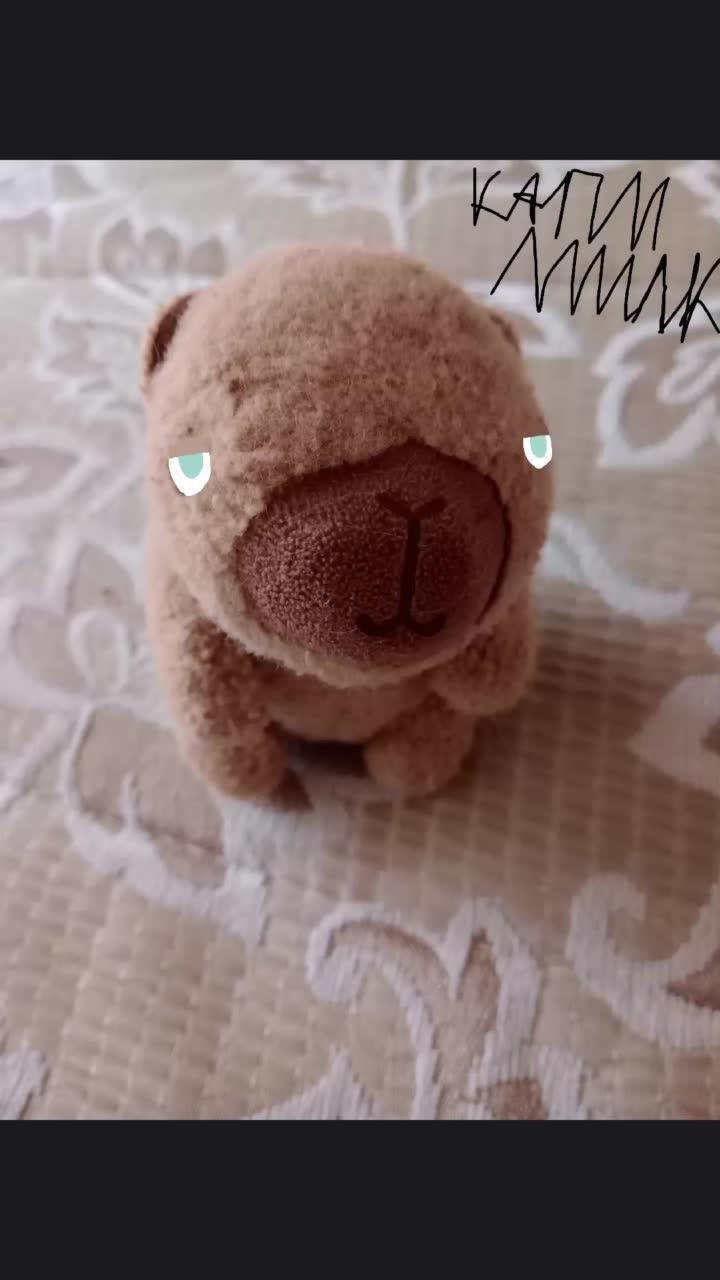 Капи 😌 МИЛК🥲