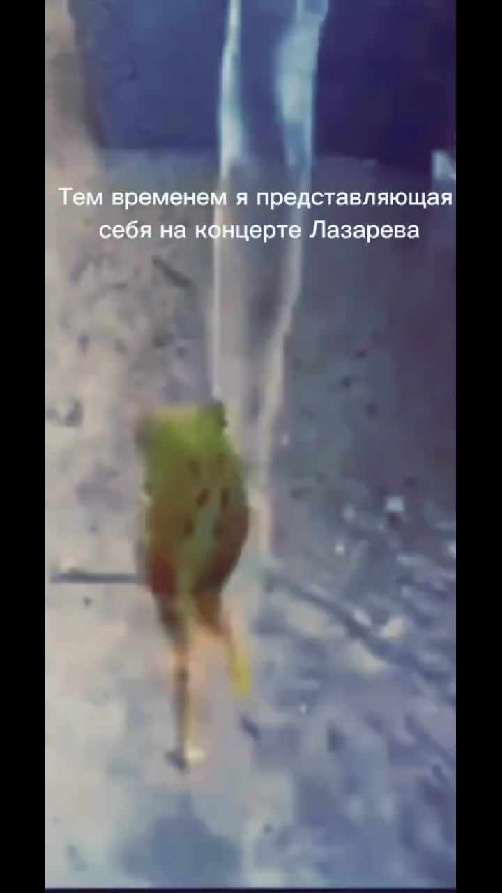 лайки: 337.видео в от пользователя asiya15 (@yasya1304): «#capcut #❤️ #лягушка #мама #лягушкатанцуетвдуше #явдуше #elbruso».оригинальный звук - asiya15.