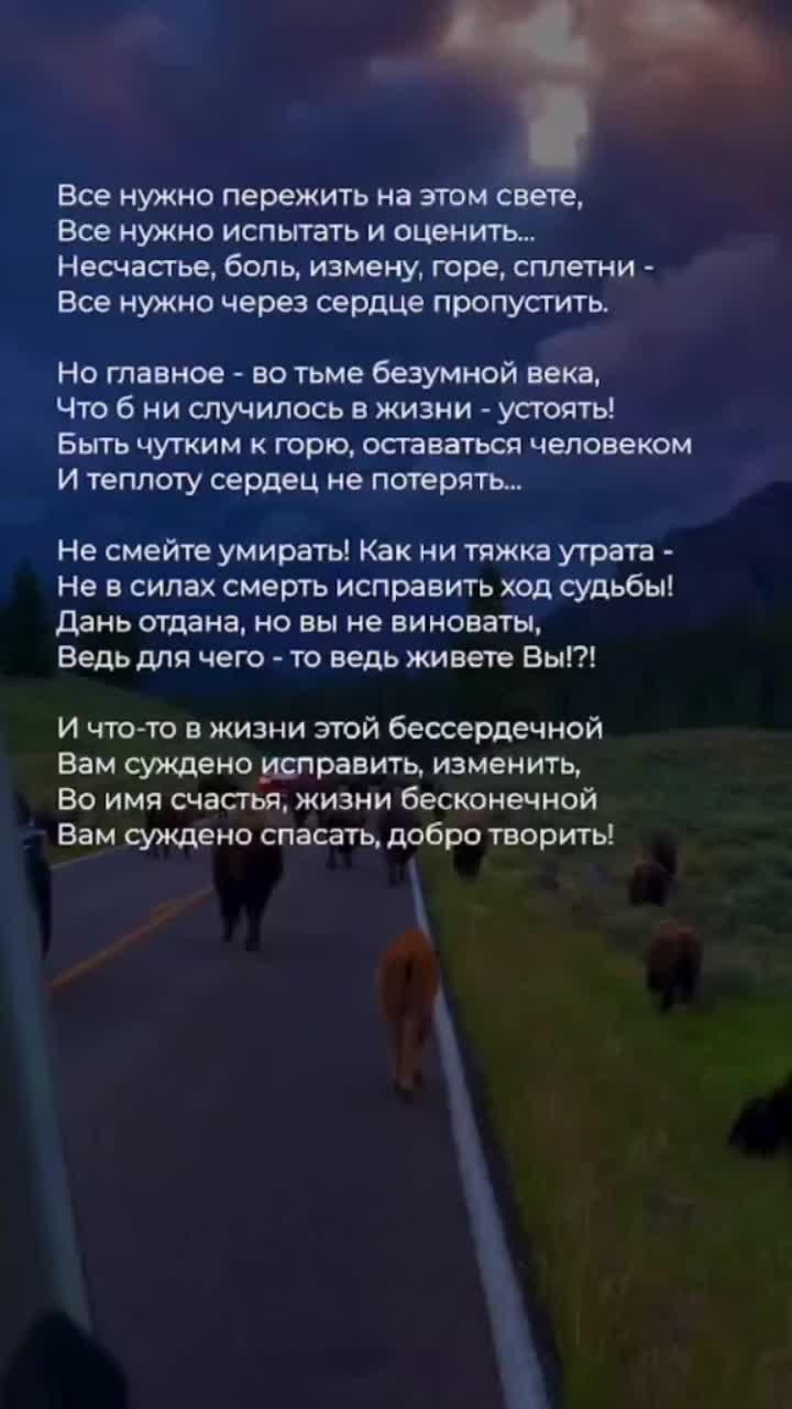 лайки: 81.6k.комментарии: 298.видео от пользователя #1 поэзия 🧡 (@poetrytt): «жизнь нужно проживать сейчас - её нельзя без конца откладывать. 😉💙 #поэзия #стихи #poetrytt #стих».original sound - favsoundds.