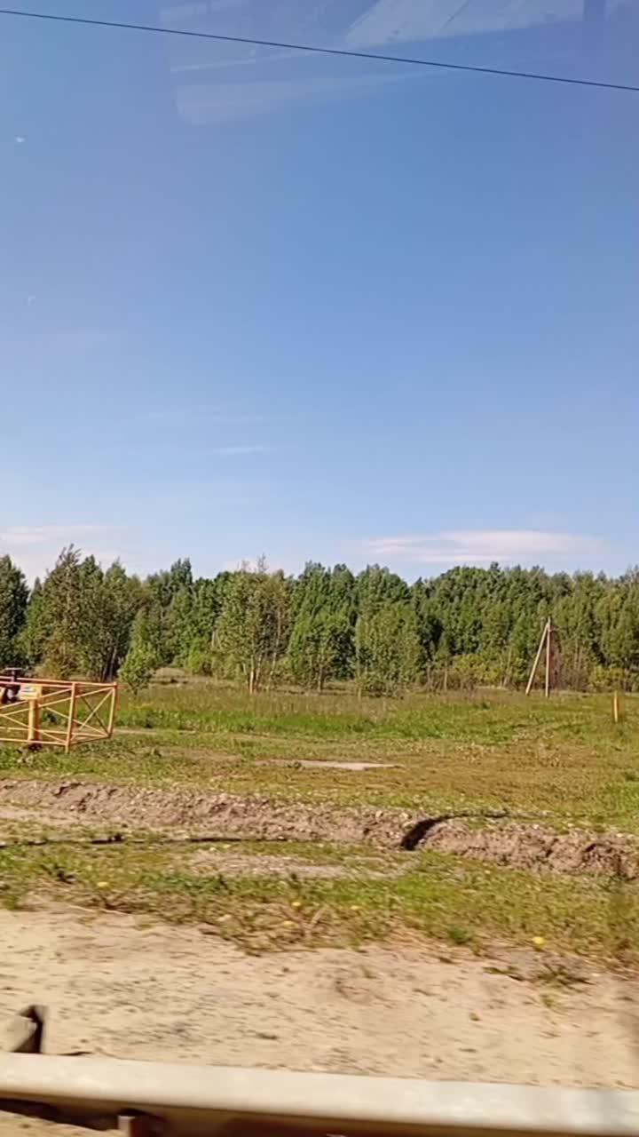 поехали в деревню