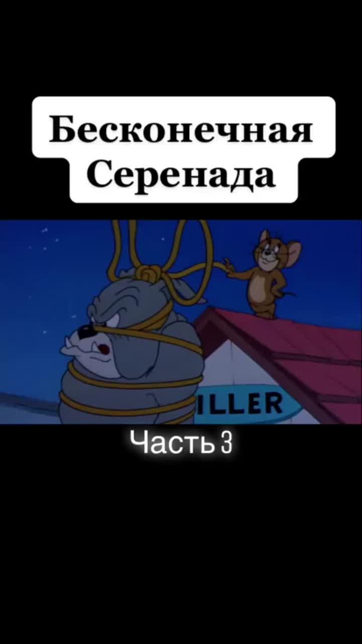 лайки: 772.видео от пользователя рустам (@rustam909612): «том и джерри #хочуврек #том #подпишись #джерри».оригинальный - рустам.