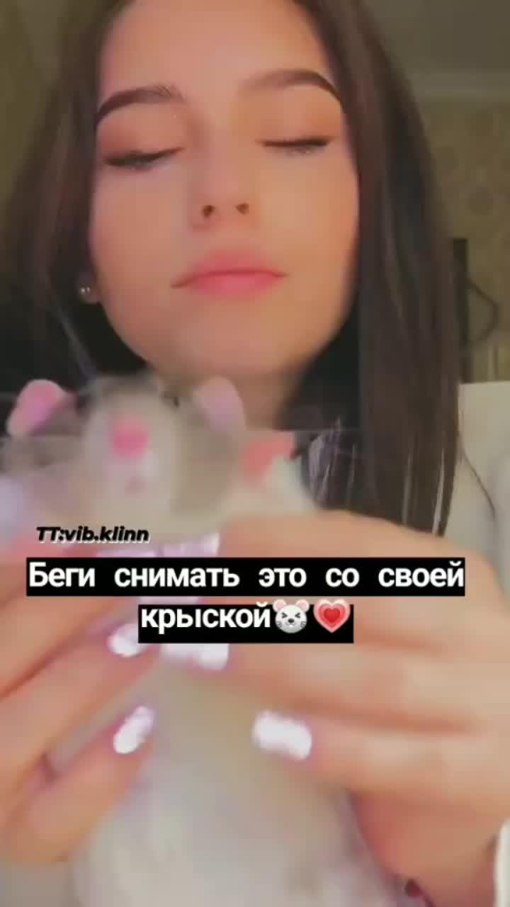 лайки: 124.видео в от пользователя всё для тебя💓 (@vib.klinn): «я бы сняла, если бы был(а)🤕💞 #fur #fun #on #no #тренд #танец #крыса #васаби».васаби - slow version - боронина.