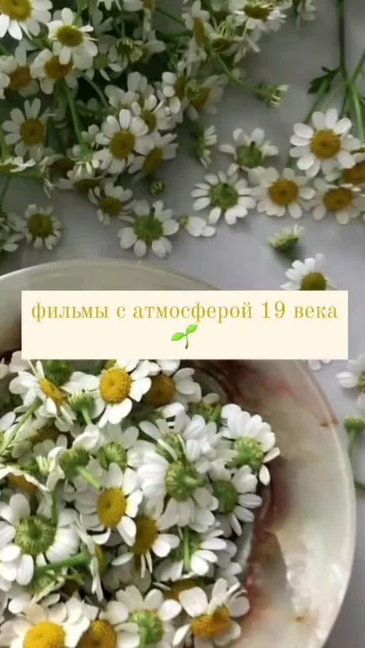 лайки: 1118.видео в от пользователя alice (@_anxious_bowler_): «🌿любите исторические фильмы?🌿 #историческиефильмы #фильмынаночь».somebody that i used to know (feat. kimbra) - gotye - fiona.