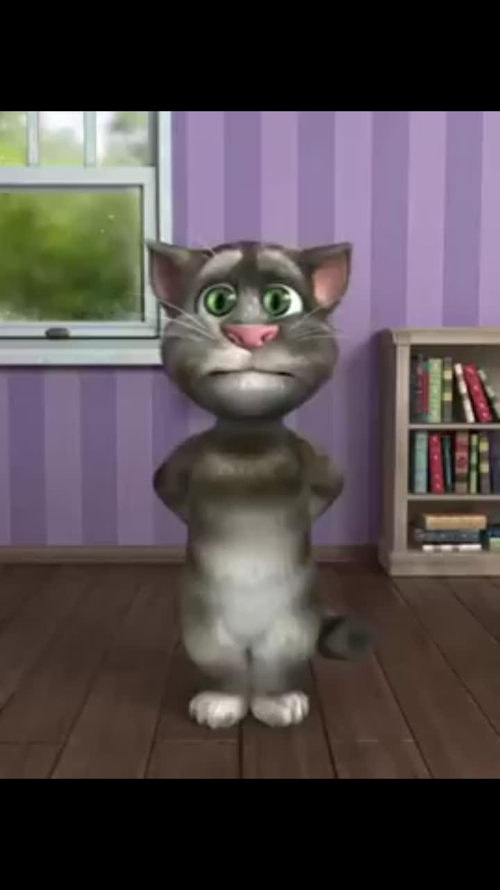 talking tom cat 2 app: