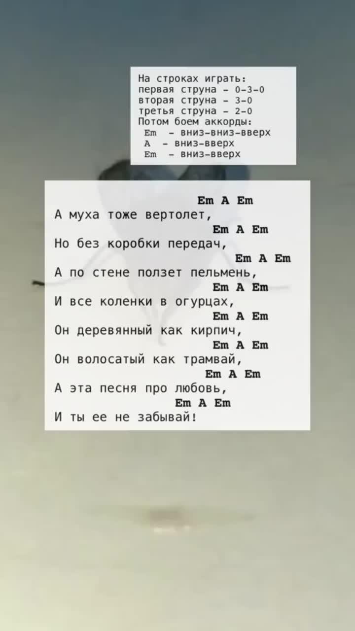 лайки: 154.1k.комментарии: 780.видео от пользователя аккорды🤘🎸 (@ak.kor.di): «а муха тоже вертолёт туру ту😅 #аккорды #аккордыдлягитары #песня #амухатожевертолёт #fyr #fyr #on».оригинальный - аккорды🤘🎸.