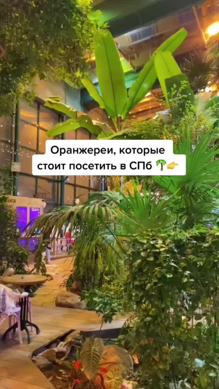 лайки: 36k.комментарии: 96.видео от пользователя piter_map (@piter_map): «inst: piter_map 🌴 #интересныеместаспб #кудагоспб #местапитера #местаспб #спбместа».jungle - emma