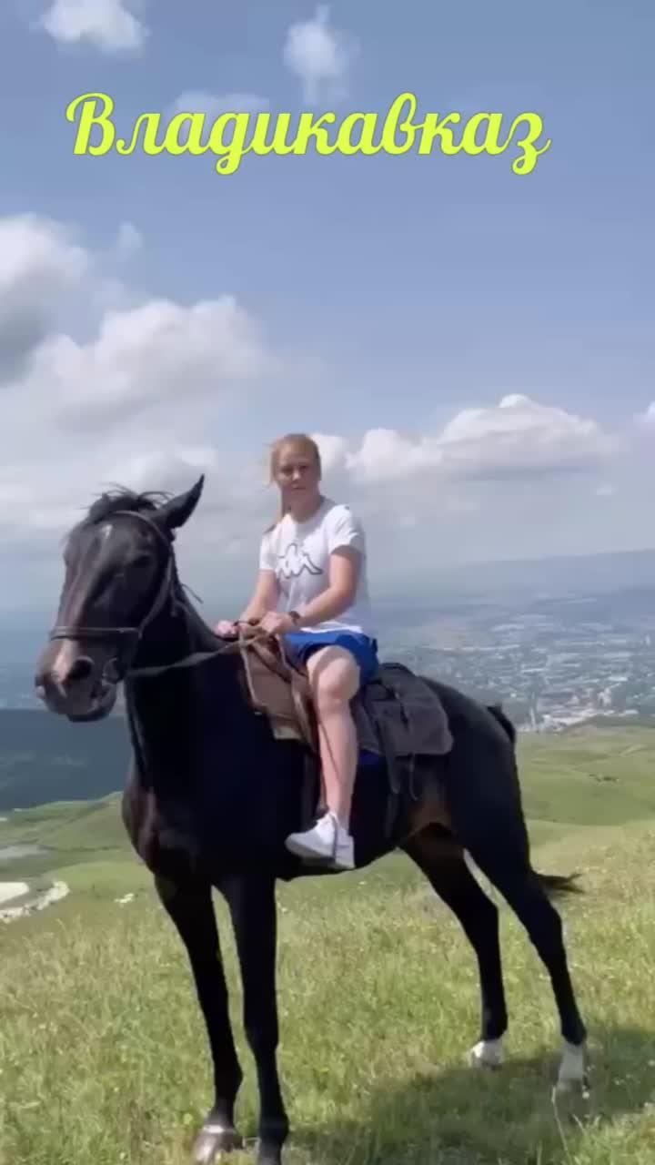 гостиприимный Владикавказ #кони #лошадь #горы #кавказ