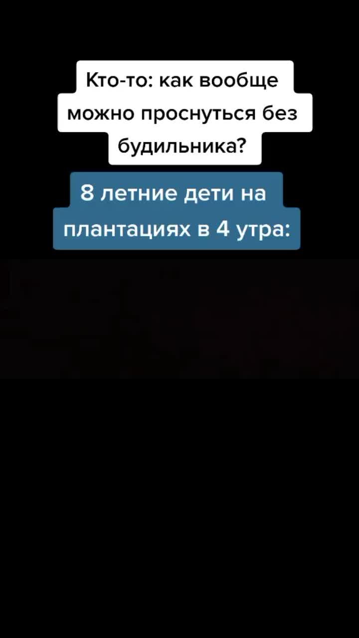 лайки: 278.видео от пользователя сачка пухариков (@sa4kapuharikov): «#моргенштерн #рек #рекомендации #постирония #сачкапухариков #fy #fyp #мем #смешно».оригинальный - сачка пухариков.