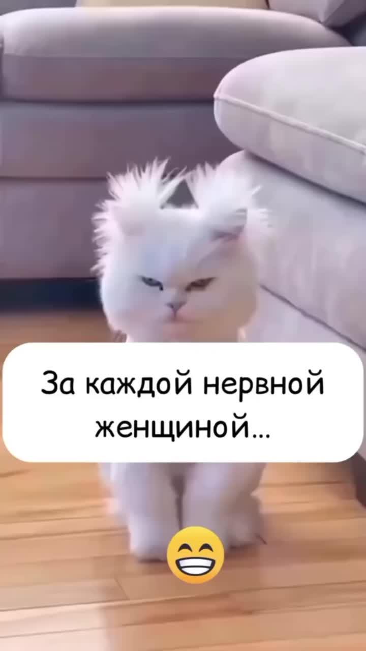 #эстетика  #relax #aesthetic #позитив #мудро #истина#мысль #жизнь #человек #втопе #врек #топчик #fup #fyr #fur #fyp #positive #life #style #топ #рек